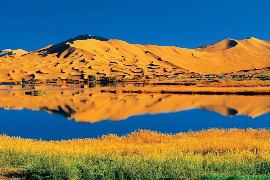Badain Jaran Desert & Pink Lakes: How to Visit China's Tallest Dunes (2026)