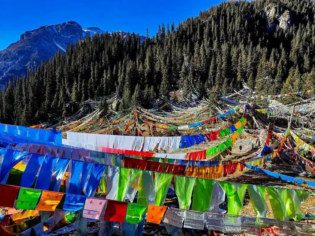 5 Crucial Cultural Taboos to Avoid in Northwest China: A 2026 Foreigner's Guide