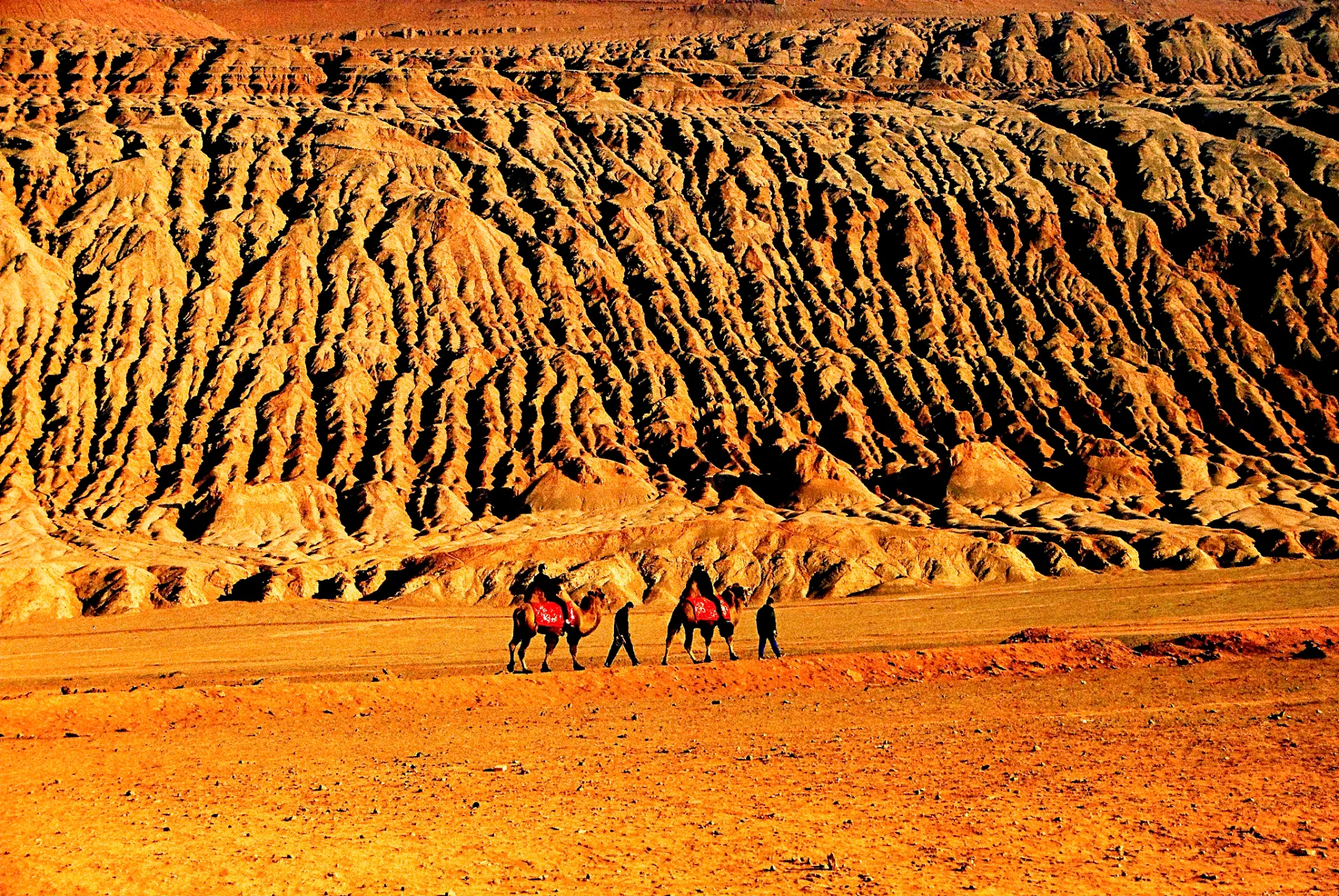 A comparison showing Dunhuang’s soaring golden sand dunes next to the red-crested sandstone ridges of Turpan’s Flaming Mountains