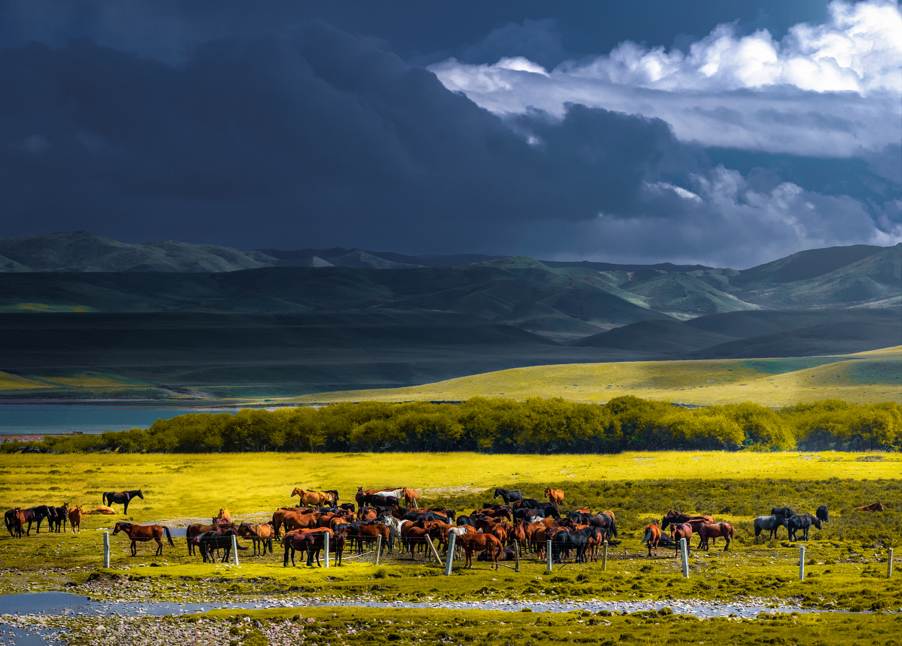 Galloping Under Snow Peaks: The Ultimate Guide to Shandan Army Horse Farm