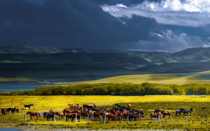 Galloping Under Snow Peaks: The Ultimate Guide to Shandan Army Horse Farm