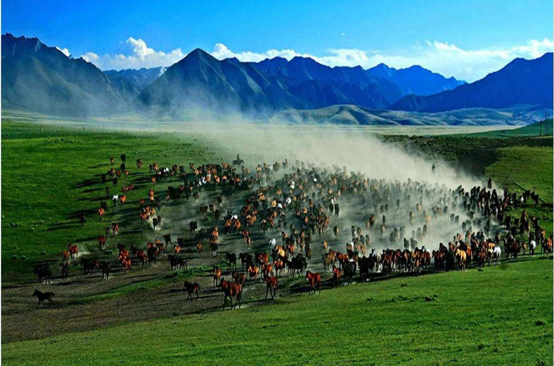 Dozens of horses charging through a riverbed during the dramatic ‘Thousand Horse Gallop’ at sunset